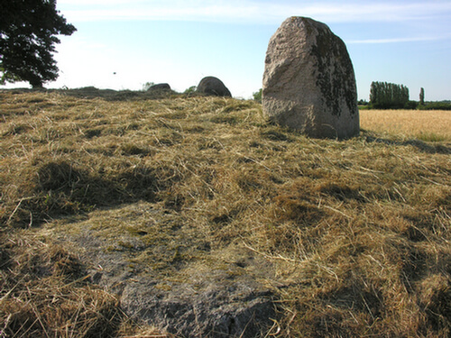 Den flade, nu væltede randsten med skåltegn ved østenden.