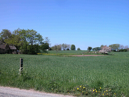 2: Langdyssen set fra Hovlinen med fortidsmindeskilt ved starten af trampestien over marken.