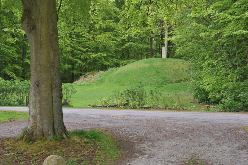 Fanefjord Skov gravhøje