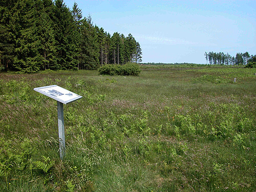 Informationsskiltet i nordvestenden af det fredede areal med jernaldersmarkerne.