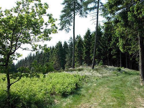 Den tydelige gravhøj nordvest for markerne.