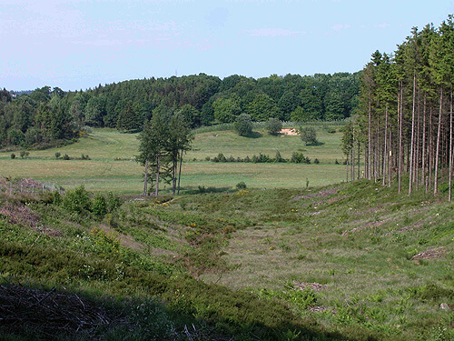 Udsigt over dalen nord for markerne. Flere steder i skrænterne ses spor efter gamle hulveje.