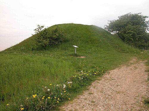 Jelshøj