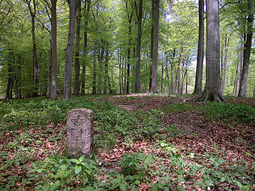 5: Fredningssten på sydenden af Meilgård-køkkenmøddingen.