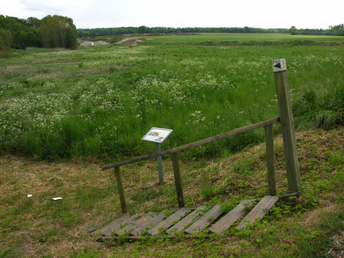 3: Infotavle og trappe ved Risby- vejen.