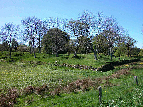 Skovgårde Voldsted