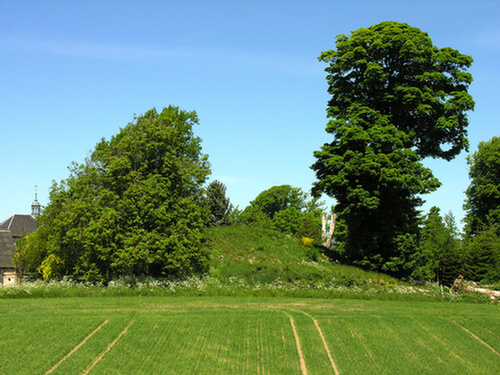 Sneglehøj, Mern