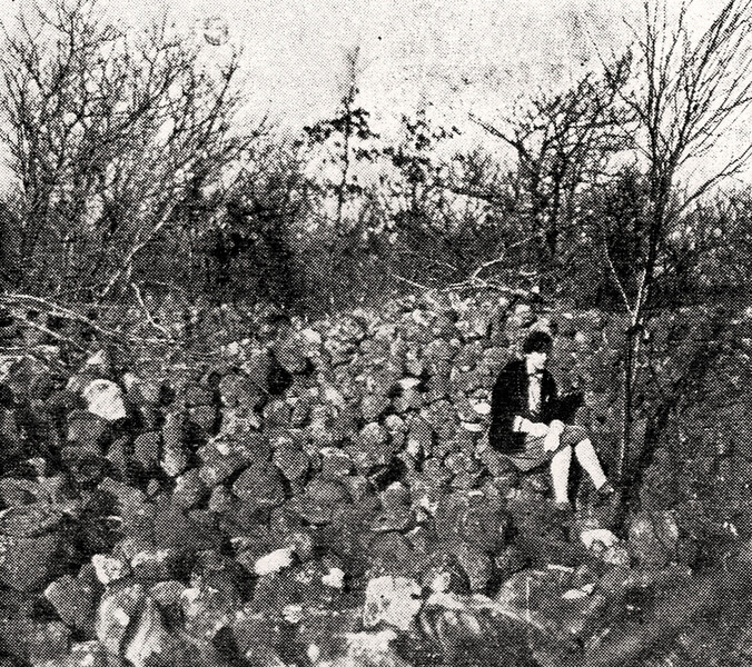 2: Fra den store nu helt fjernede stenrøse som lå nord i skoven. Foto fra omkring 1920.
