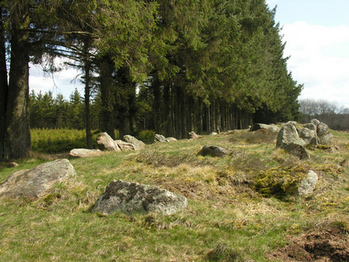 Stensbjerggaard-langdysse-03