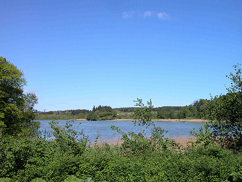 3: Udsigt mod nordvest over Kjellerup Sø fra Svenstrup-runestenen.