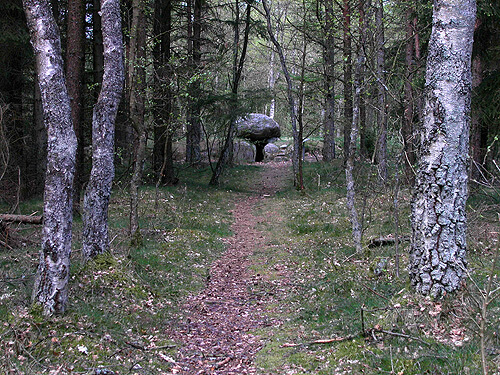 Taastrup-Plantage-03