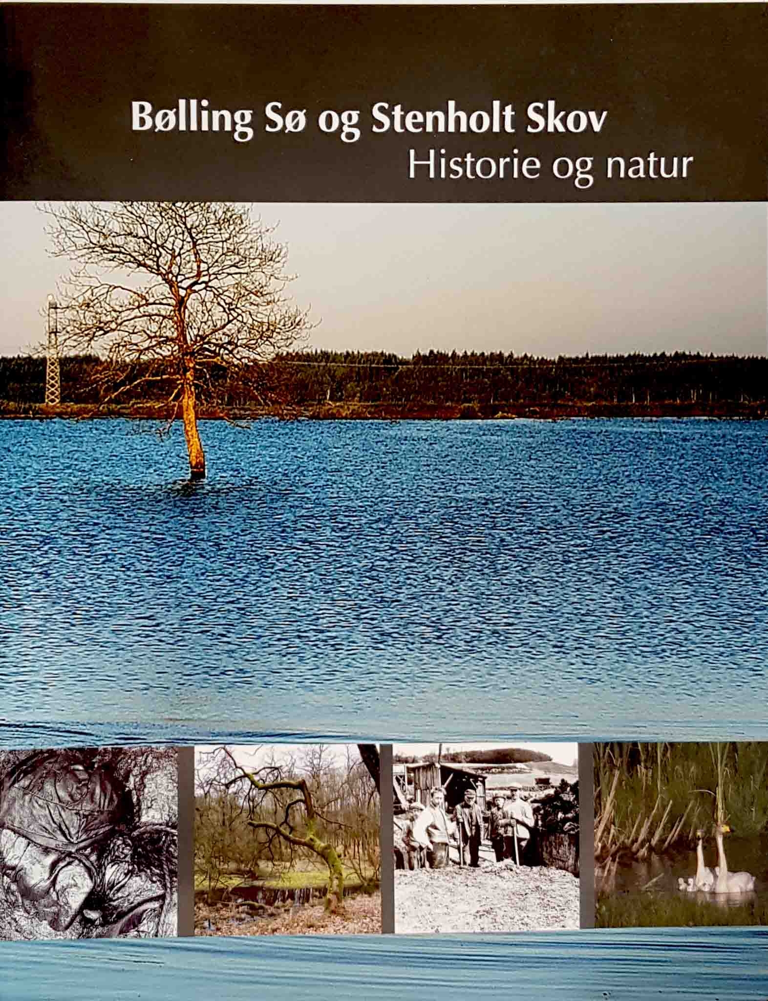 Bølling Sø og Stenholt Skov - Historie og natur